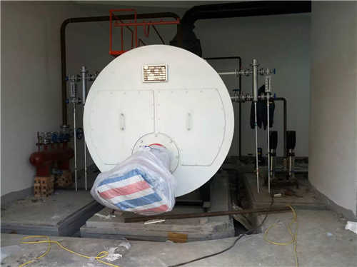 安徽亳州太安堂水泥制管集团2吨燃气锅炉